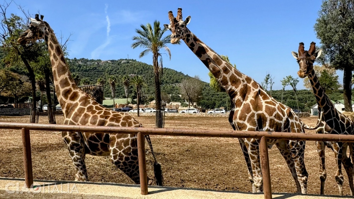 Copiii se vor distra de minune în parc.