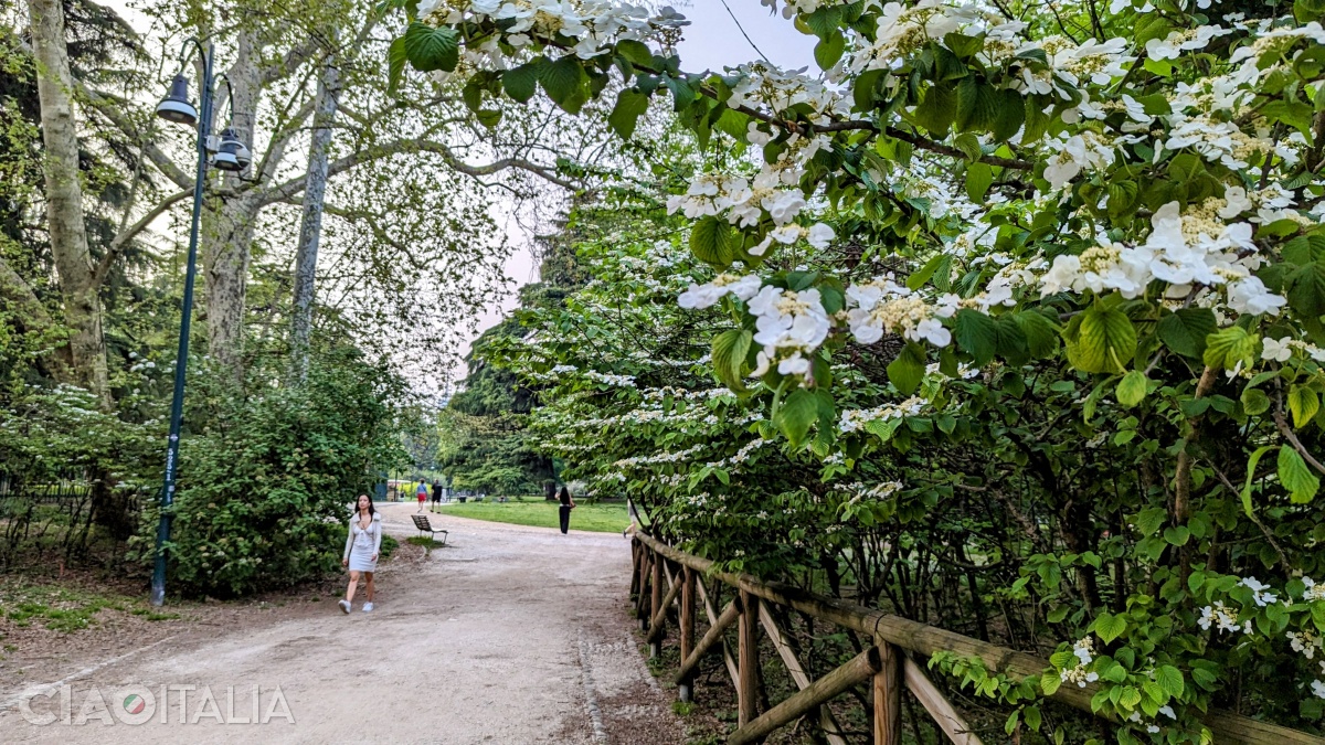 Caută zona de joacă din Parcul Sempione.