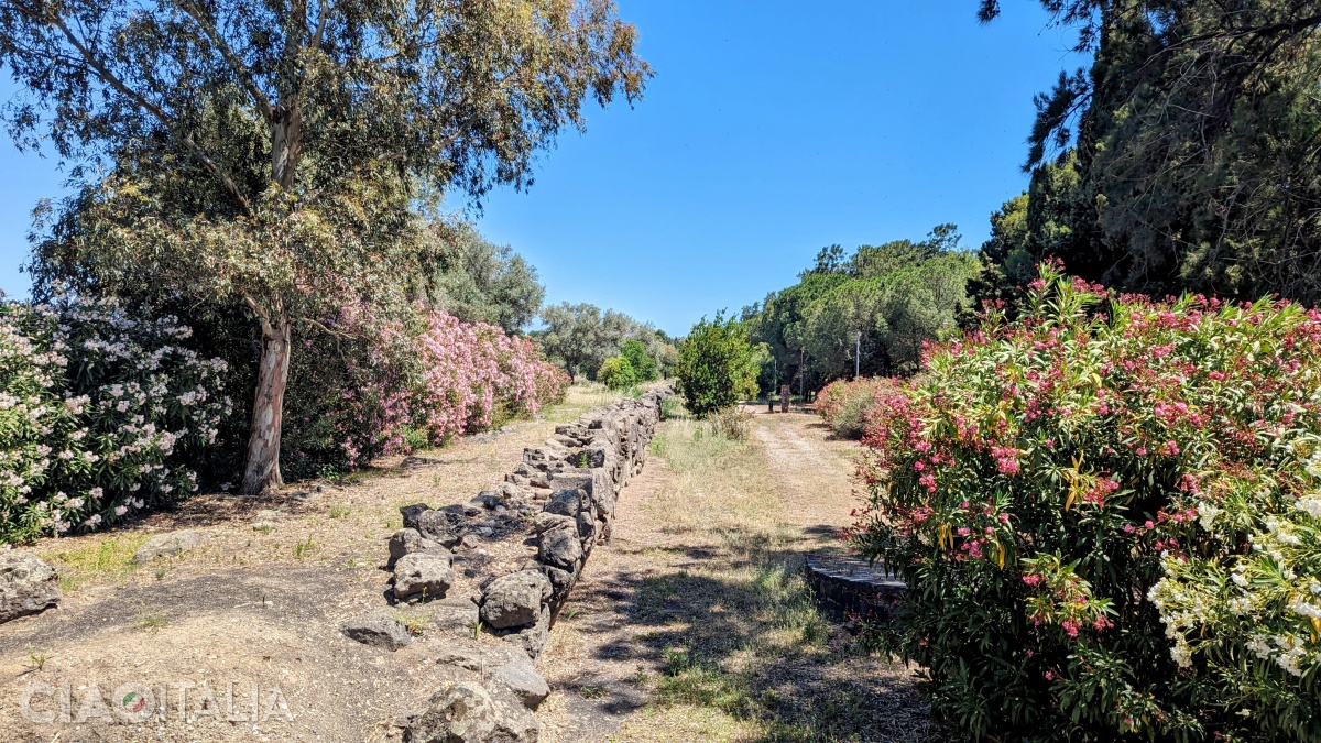 Ziduri construite în sec. al VI-lea î.Hr.