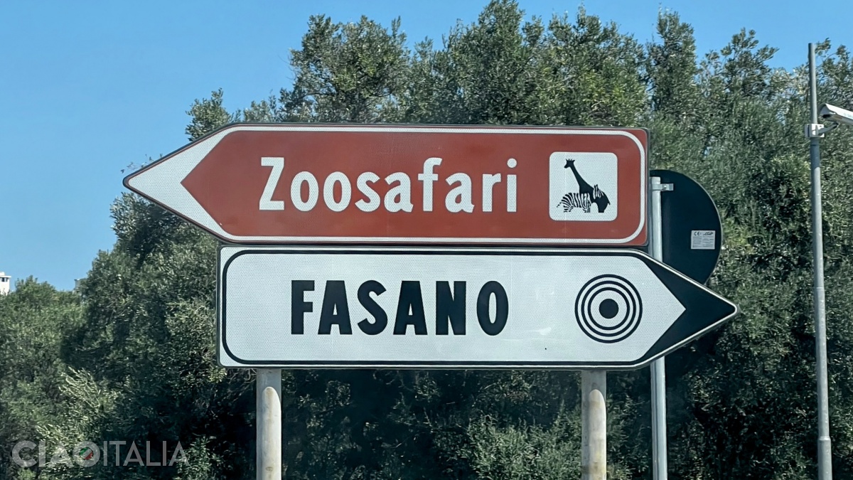 Din localitatea Fasano până la Parcul Zoosafari Fasanolandia mai sunt circa 2 km.