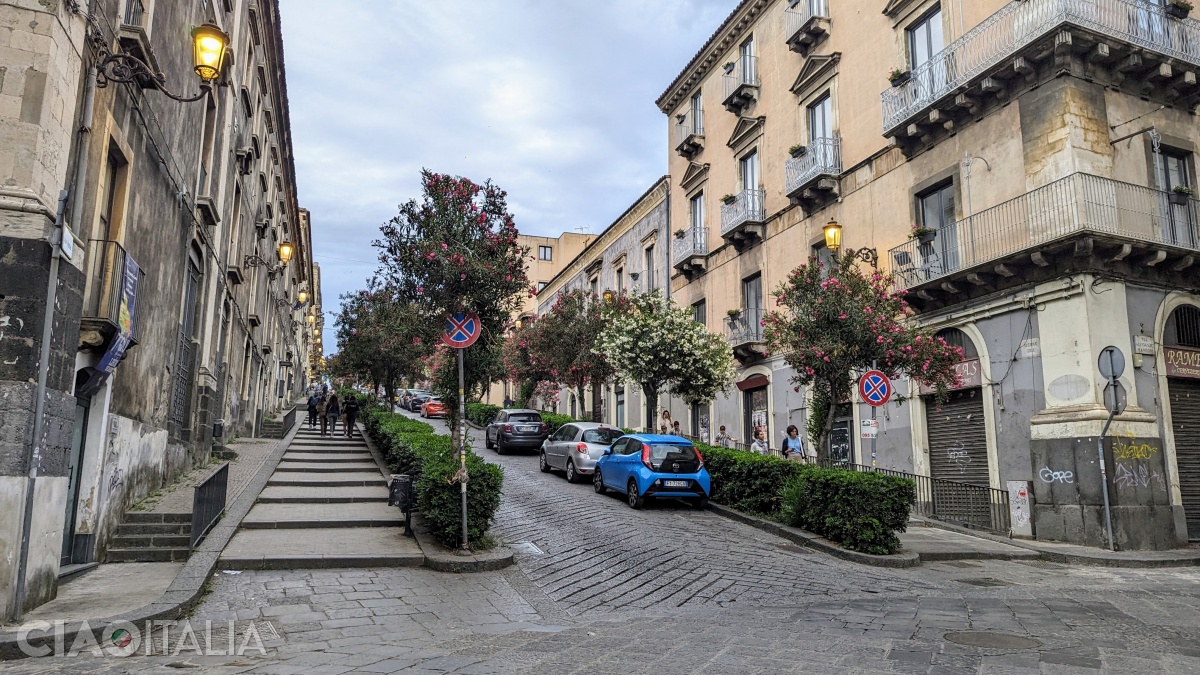 Via Antonino di Sangiuliano este mărginită de copaci de leandru.