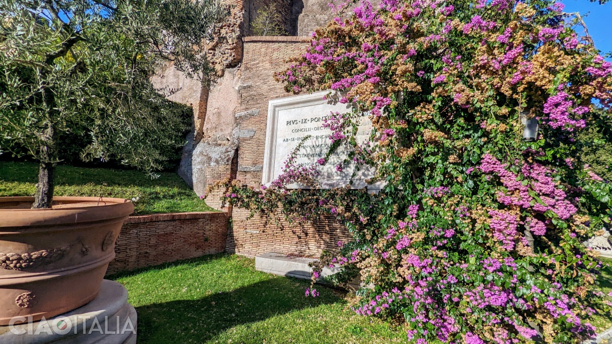 Zidurile medievale sunt acoperite de plante de Bougainvillea.