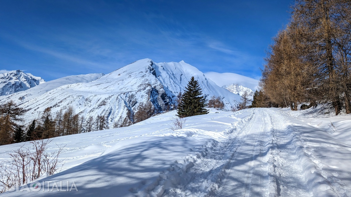 Ușor ușor, drumul se îngustează și îți oferă frumoase peisaje de iarnă.