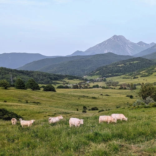 Abruzzo